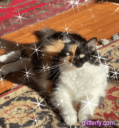 Glitter Photos